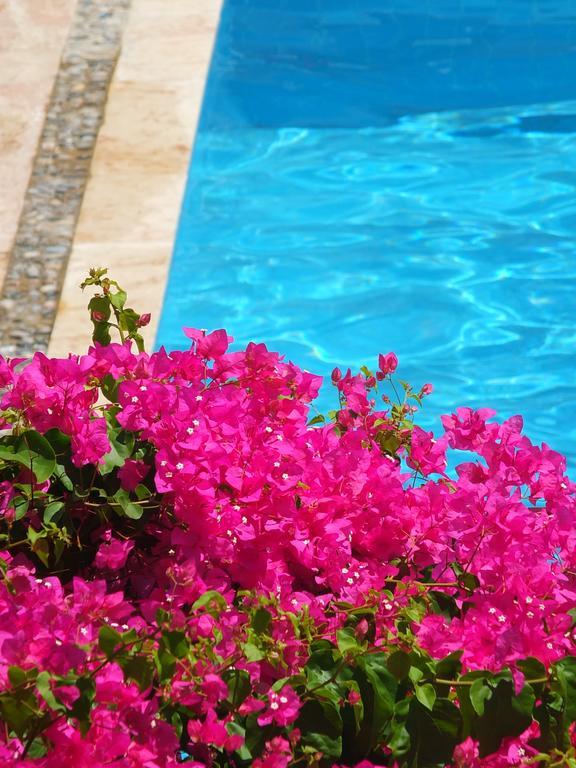 Hotel Villa Berk Фетхіє Екстер'єр фото